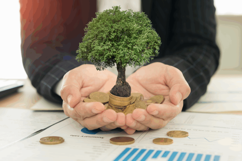 Wealth Planning: How to Grow More Money Through Mindful Investing?